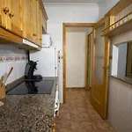 Alegria Id40 * تورّيفيِخا